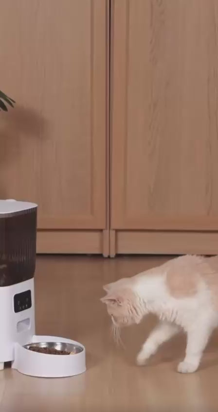 5L Smart Automatische Voerbak